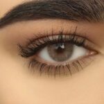 Bee by Nada | Bold Beauty in Focus